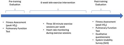 Tele-Exercise as a Promising Tool to Promote Exercise in Children With Cystic Fibrosis